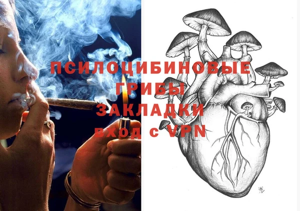 стаф Абинск