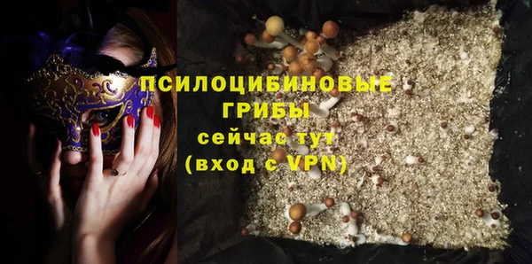 ПСИЛОЦИБИНОВЫЕ ГРИБЫ Алзамай
