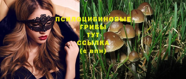стаф Абинск